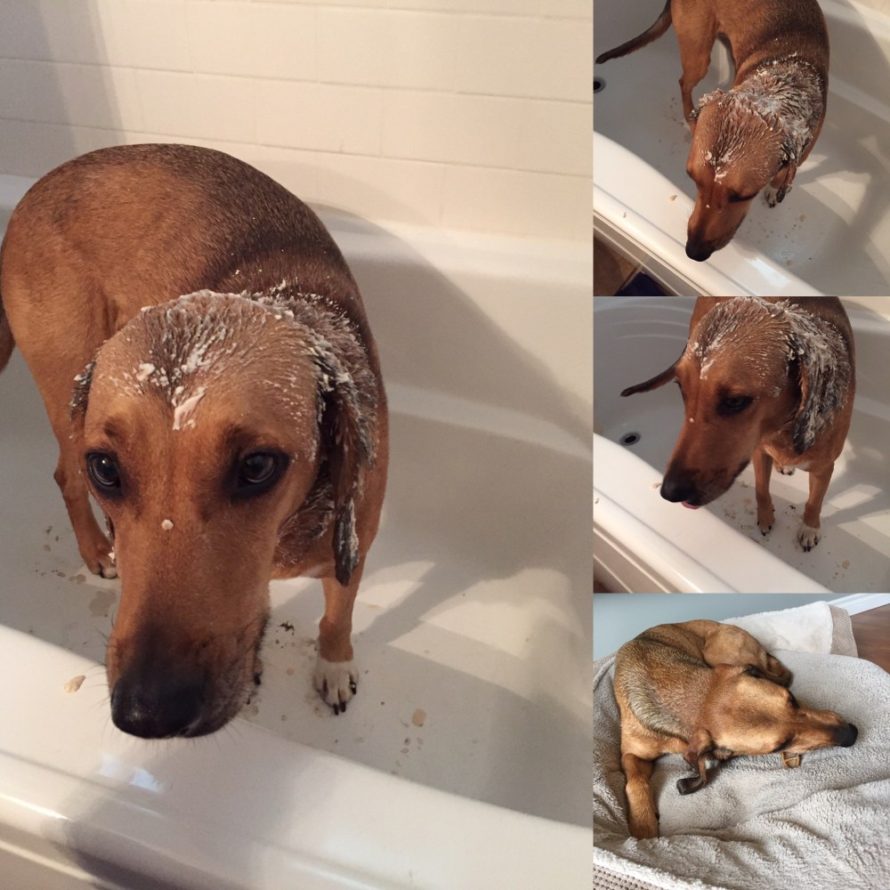 4f4a1356-3380-45e7-86c7-4a4be3b78a05