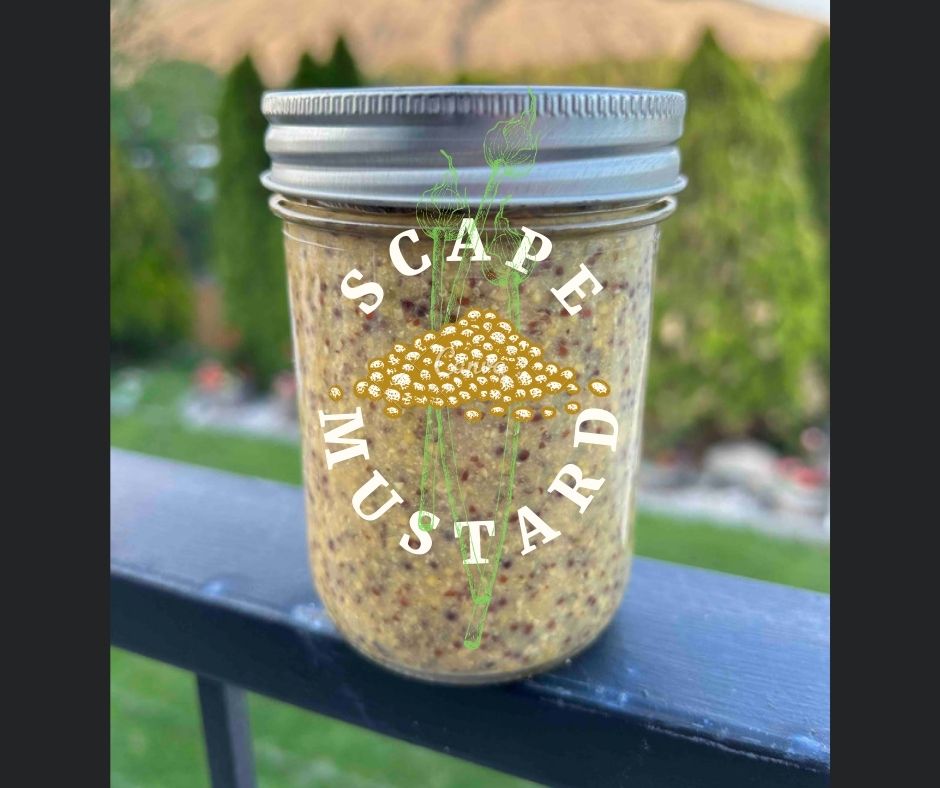 The Great Scape Mustard JK Building The Dream